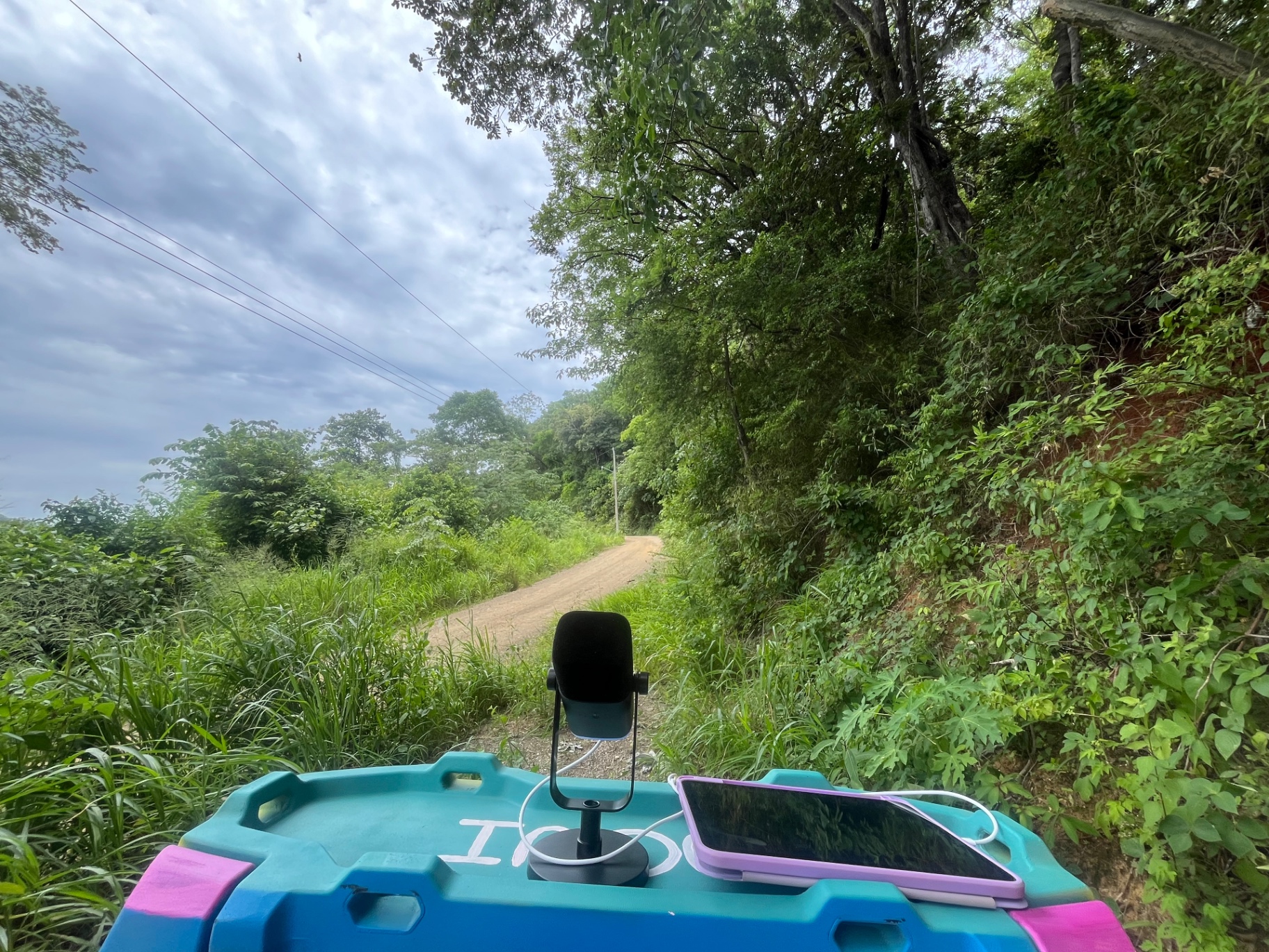 A quiet dirt road through the jungles of Costa Rica, where these recordings were made.